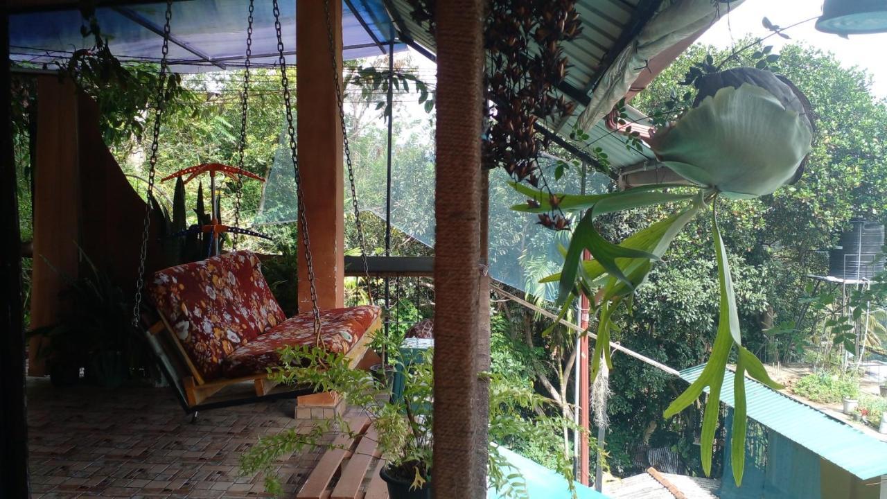 Secret View Homestay 埃拉 外观 照片